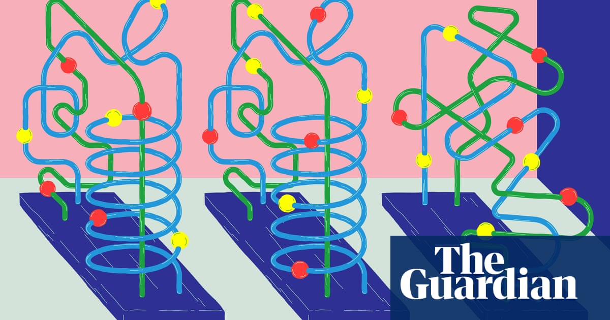 Solving the genome puzzle | News | The Guardian