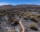 Scorched ground and a melting glacier: Monday’s photos of the day