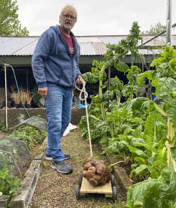 Colin Craig-Browns takes his potato, Doug, for a walk in his garden in Hamilton, New Zealand.