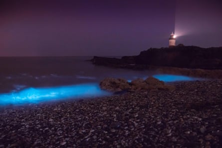 Bioluminescent plankton at Penmon Point.