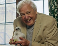 David Attenborough smiling and holding a peregrine falcon chick