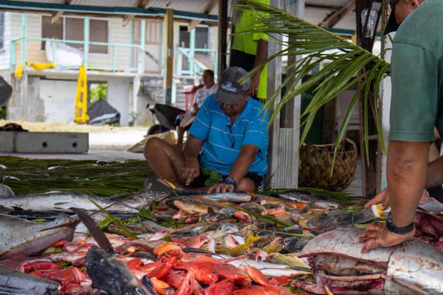 Fish are gutted in Tokelau