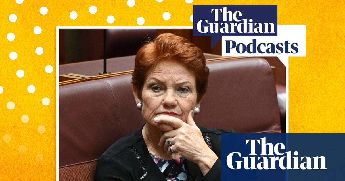 Inside One Nation's orange wave in SA and what it means for the nation – podcast
