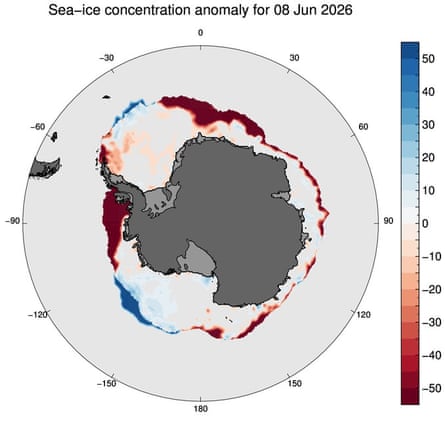 Satellite observations show a large area of sea ice in west Antarctica over the Bellingshausen Sea has failed to appear this winter. Deep red indicates at least a 50% loss in sea ice compared with the 1991 to 2020 average.