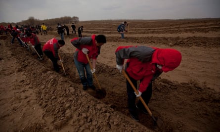 Volunteers of the Shanghai Roots and Shoots NGO dig holes to plant tree saplings in Kunlun Qi, in the Inner Mongolia Autonomous Region of China.