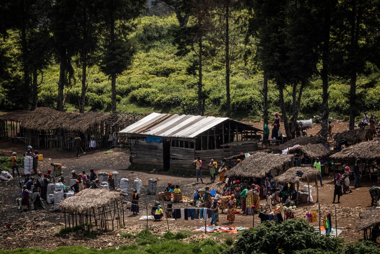 A charcoal market near the edge of the Kahuzi-Biega national park