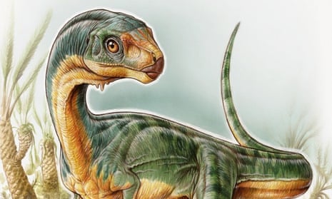 Chilesaurus diegosuarez, from the Late Jurassic period.