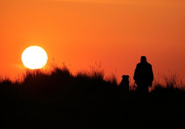 Electric fences found to protect beach-nesting birds from dog-walkers A man and his dog watch the sunrise at Holme-next-the-Sea in Norfolk. Photograph: Paul Marriott/Shutterstock