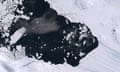 Satellite image of an ice pack breaking up