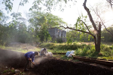 Dust rises as two men dig over a pile of compost 