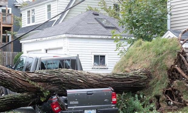 Un arbre tombé se trouve sur un camion écrasé après la tempête Fiona à Halifax, Nouvelle-Écosse, Canada