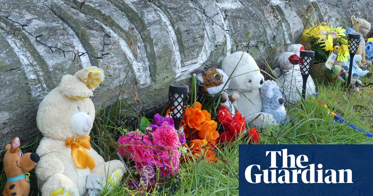 Grandmother charged with murder of two boys in Coonabarabran in NSW