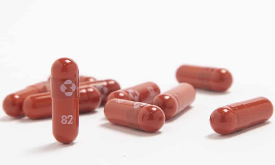 Merck covid pill news