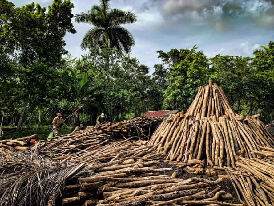 Charcoal producers place wood to build a charcoal kiln in San Agustin