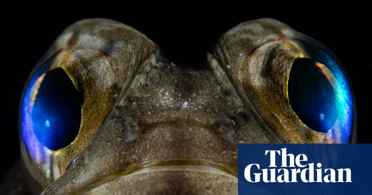 Ocean Photographer of the Year 2025 in pictures