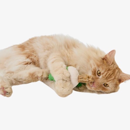 Willows Catnip Leek Kicker Cat Toy