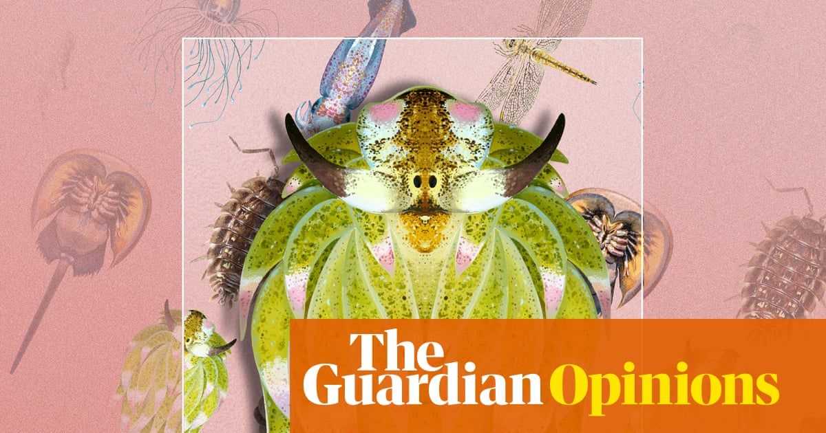 Humans have learned to fear ‘bugs’, but we shouldn’t – life as we know it hinges on invertebrates | Chris Packham