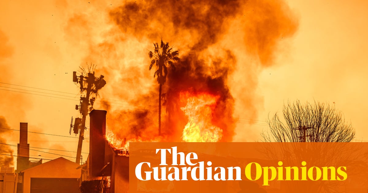 A conversation between Joe Rogan and Mel Gibson summed up 2025 for me – and not in a good way | George Monbiot