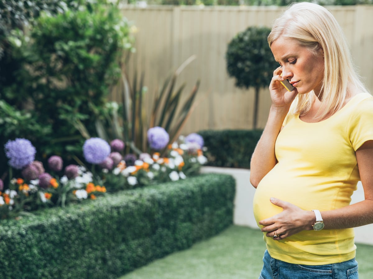 From Rosemary S Baby To Bridget Jones A Quick Scan Of Pregnancy On Film Movies The Guardian From Rosemary S Baby To Bridget Jones A Quick Scan Of Pregnancy On Film Movies The Guardian