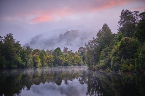 Calm river surrounded by trees partially covered by mist with pink clouds above