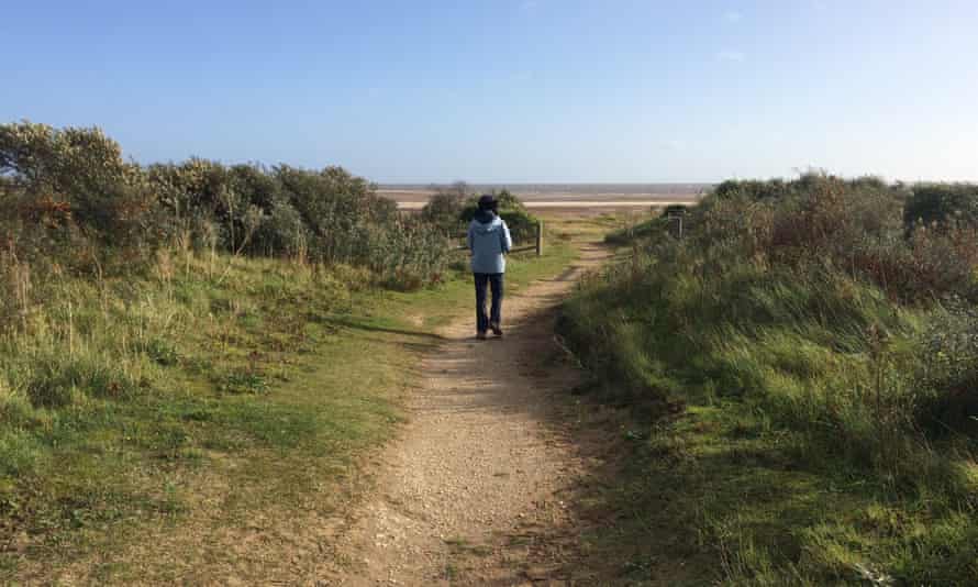 Beach path at Gibraltar point nature reserve