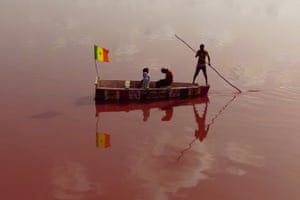 A man punts a boat carrying three passengers and flying the Senegalese flag through dark-pink water