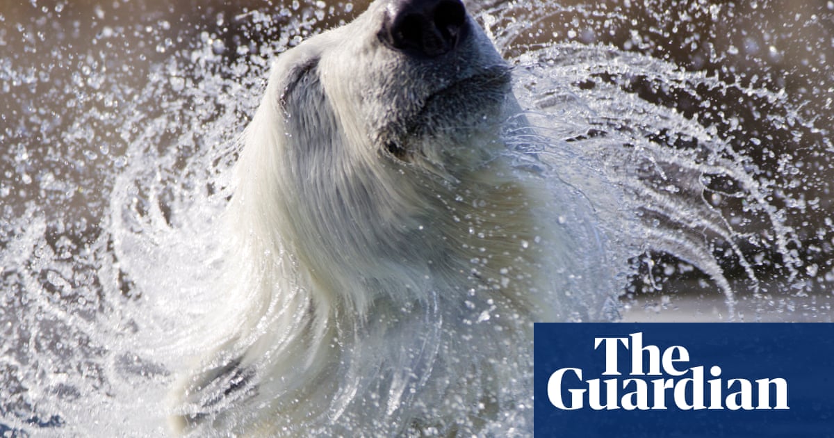 Which archipelago is home to Norway's polar bears? The Saturday quiz