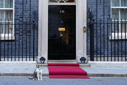 Larry outside 10 Downing Street next to a red carpet.