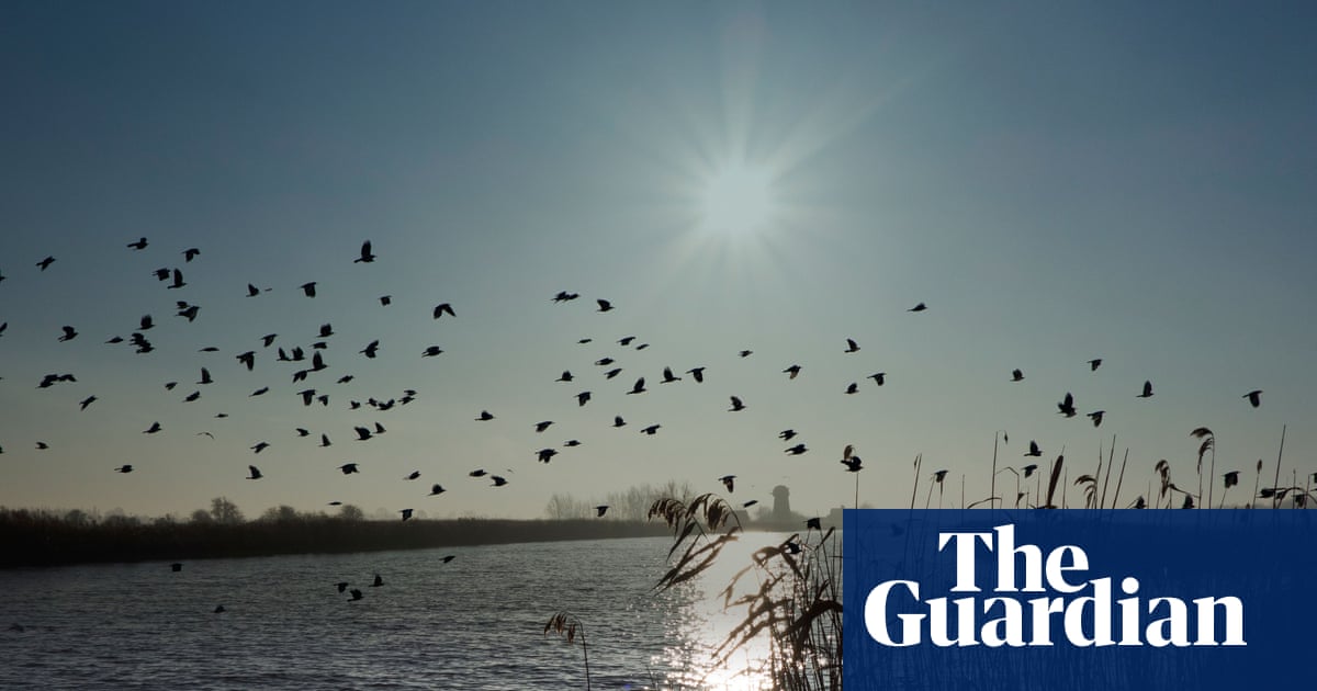 Critics say Norfolk Broads housing levy will not cover environmental damage