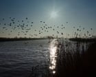 ‘Cash to trash’ levy on house developers too low to offset damage to Norfolk Broads, say critics