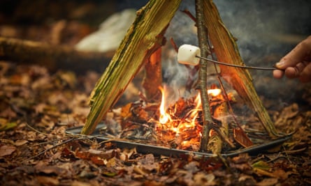 A hand holding a stick with a marshmallow over a small fire in the forest