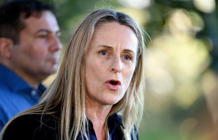 The NSW Greens’ environment spokesperson, Sue Higginson