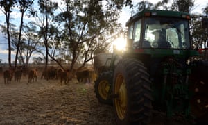 A cattle and sheep property in the Australian outback.