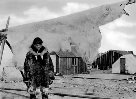 Black and white photo of a man standing in front of a polar bear skin