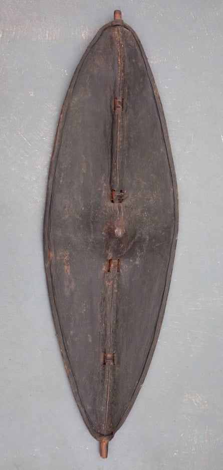 Shield