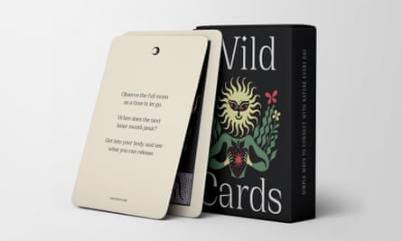 wild-cards-maquette-2