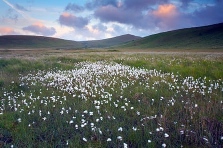 authors writing about nature Dartmoor National Park