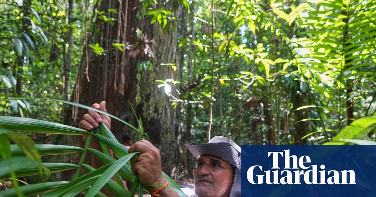 ‘We’re true guardians of the forest’: quilombola community near Belém demand land rights and recognition