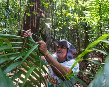 Man in forest breaking a palm leaf
