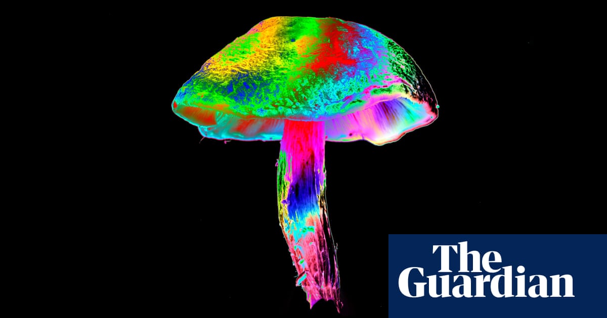 The ancient psychedelics myth: People tell tourists the stories they think are interesting for them'
