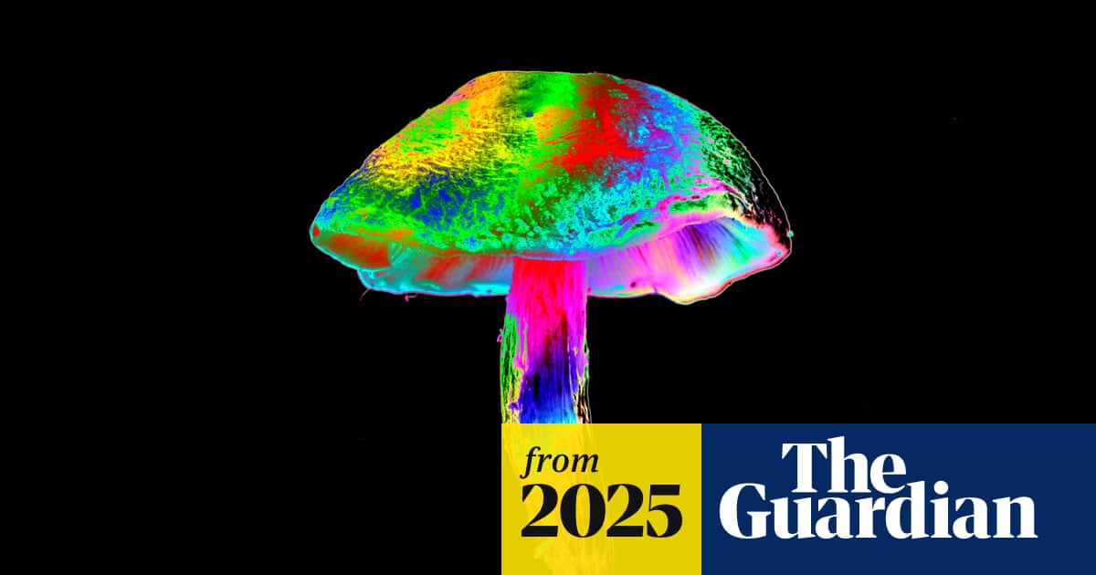 The ancient psychedelics myth: ‘People tell tourists the stories they think are interesting for them’