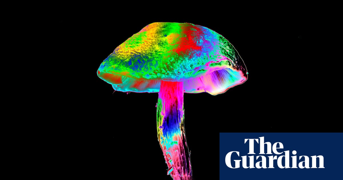 The ancient psychedelics myth: ‘People tell tourists the stories they think are interesting for them’