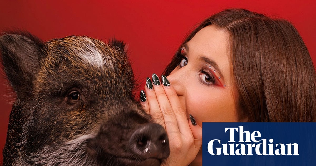 The pet I'll never forget: Merlin the sassy pig, who helped me meet my husband
