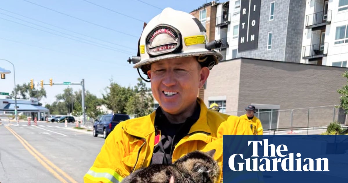 Cat survives Utah apartment fire by sheltering in closet for three days