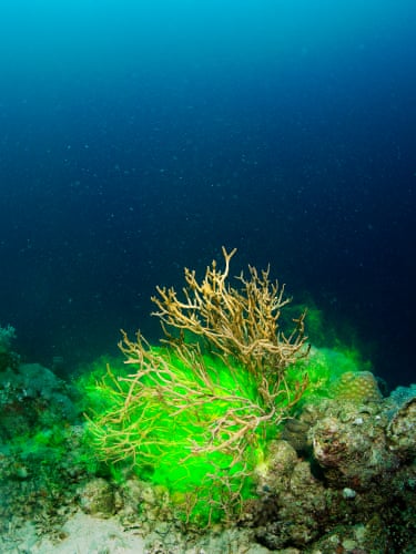 Taiyo Onorato & Nico Krebs, Water Column, S12, 2022