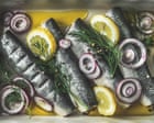 A hankering for fresh herring and the proper British name for ‘sea bass’ | Letters