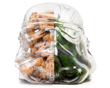 Star Wars terrarium