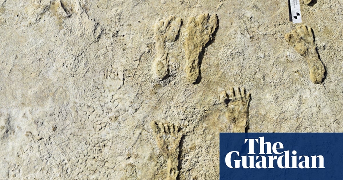 Human footprints thought to be oldest in North America discovered