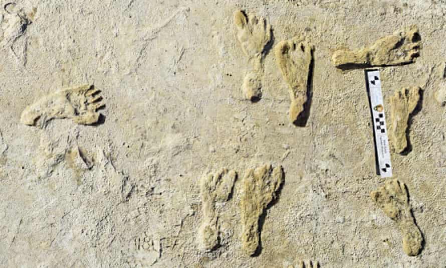 Fossilised footprints from more than 21,000 years ago at the White Sands national park in New Mexico