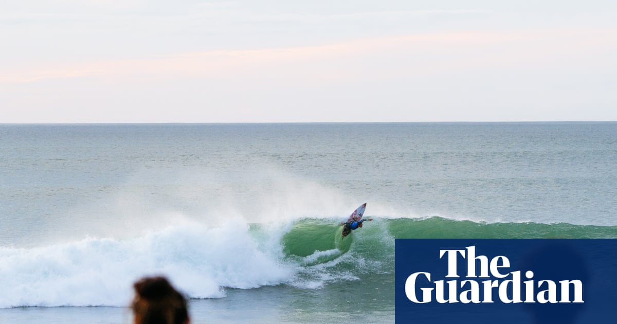WSL event in New Zealand put on hold after Australian photographer bitten by ‘shark or a sea lion’